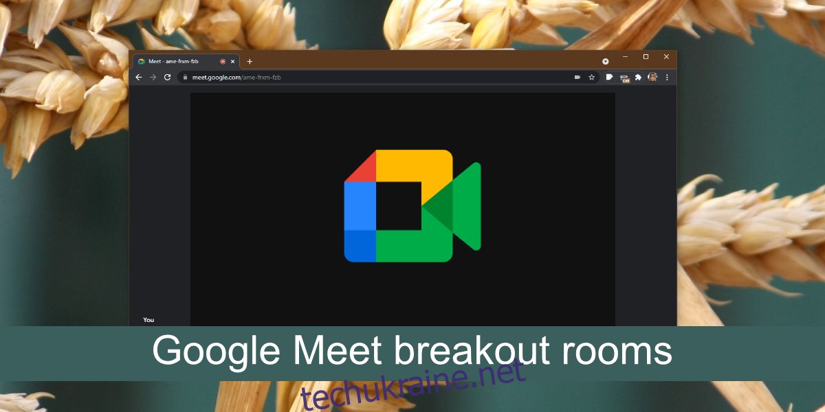 Підгрупи Google Meet