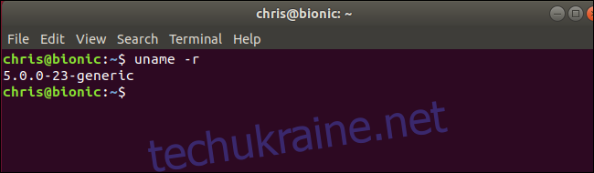Команда uname, яка показує ядро ​​Linux 5.0, що працює на Ubuntu 